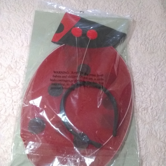 Ladybug wings set - Picture 5 of 6